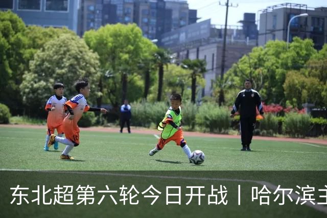 东北超第六轮今日开战丨哈尔滨主场死磕通辽，赢球才能进四强